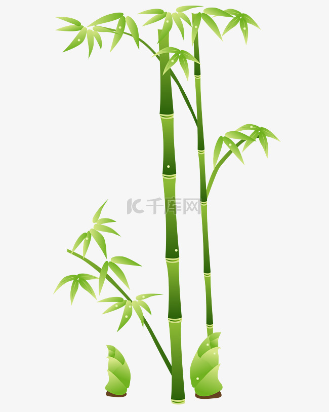 矢量中国风植物竹子