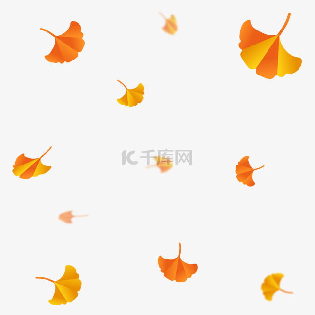 秋天银杏落叶漂浮