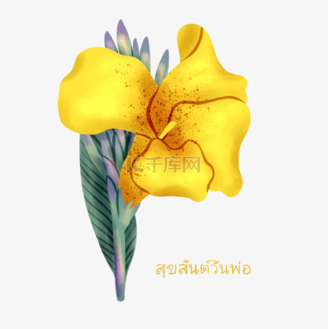 手绘泰国父亲节黄色美人蕉元素