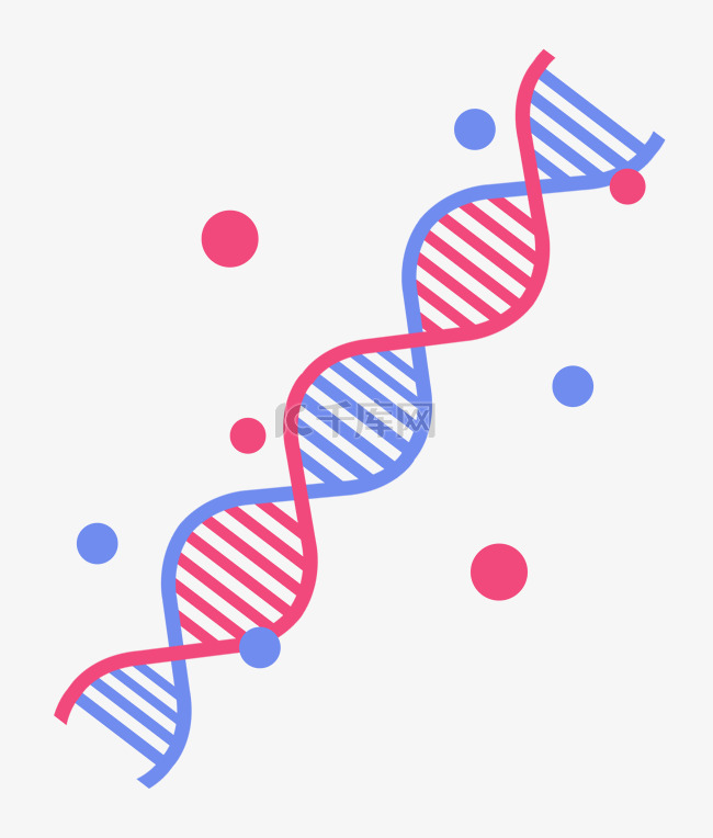 红蓝螺旋DNA