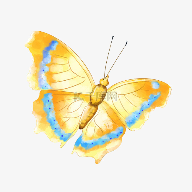 黄色水彩蝴蝶