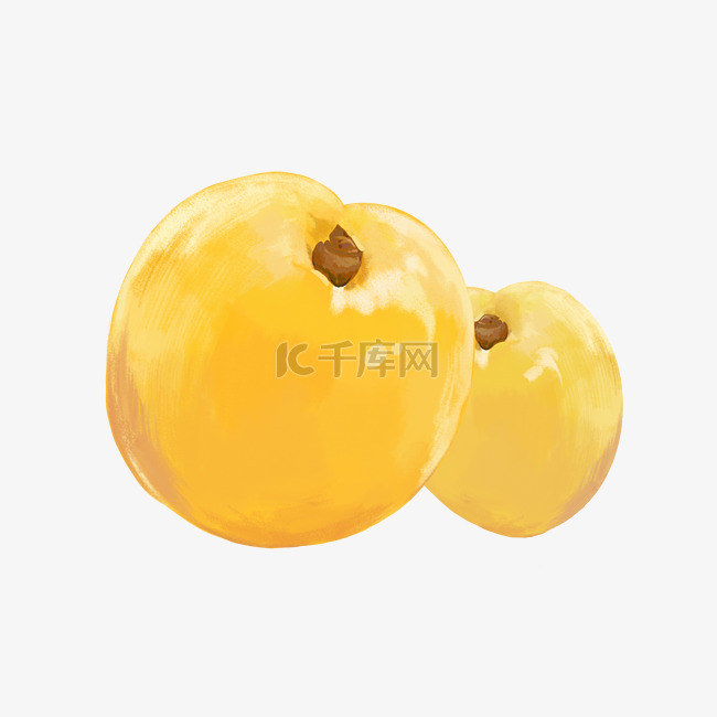 水果食物黄杏