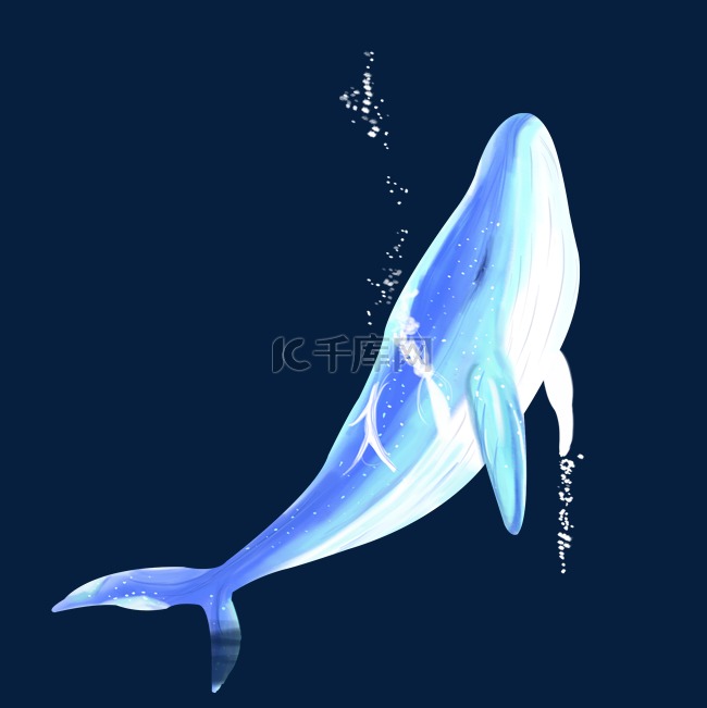 发光鲸鱼