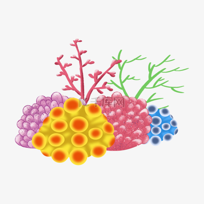 珊瑚礁多色植物插画
