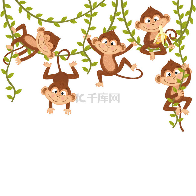 葡萄藤上的猴子  