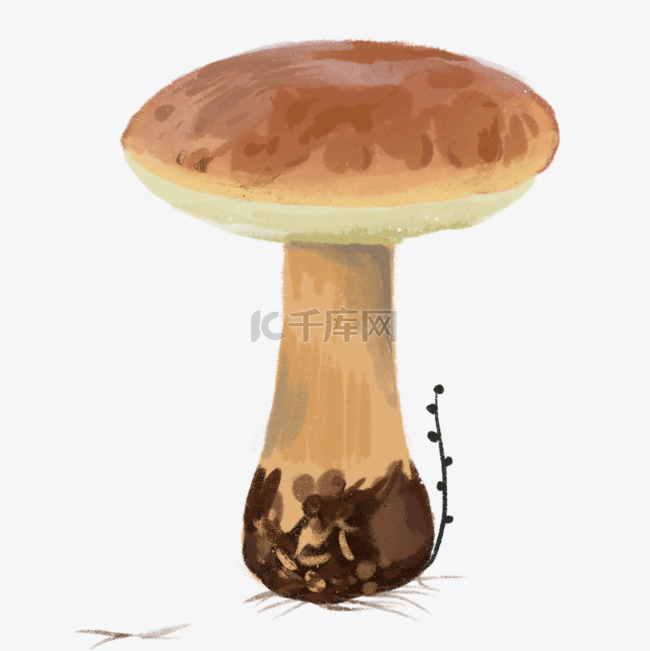 蘑菇扁平冠子水彩童话造型