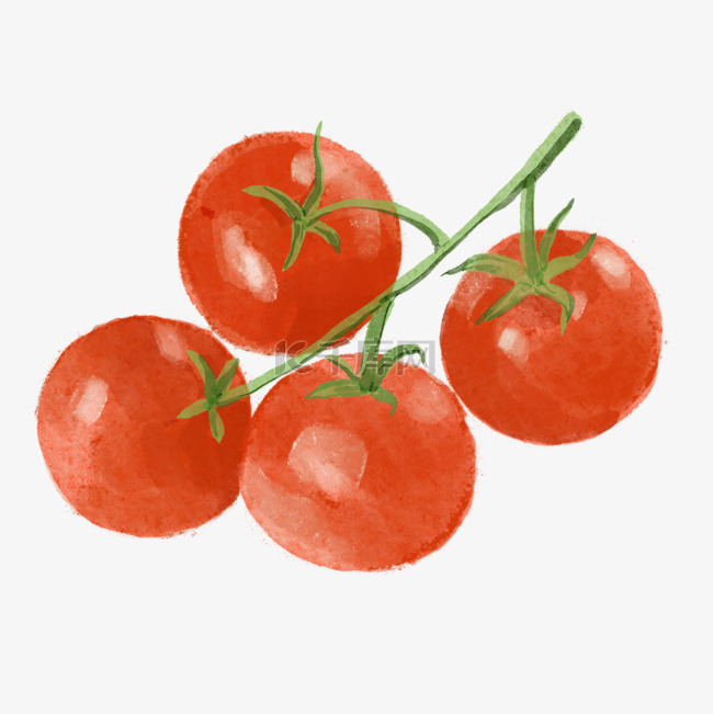 西红柿一串水彩蔬菜水果