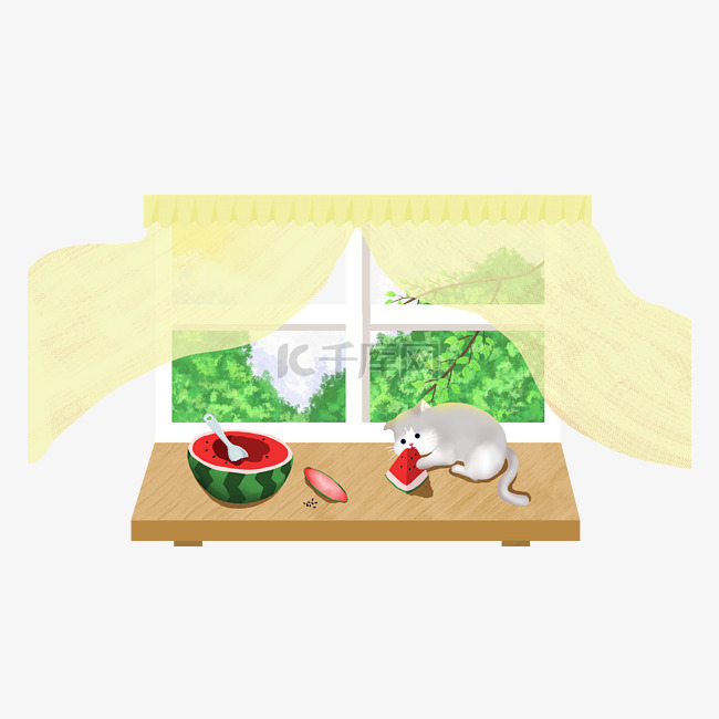 夏季窗户桌子猫咪吃西瓜