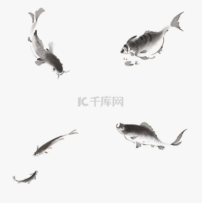 黑色水墨鱼锦鲤中国风鲤鱼动物鱼