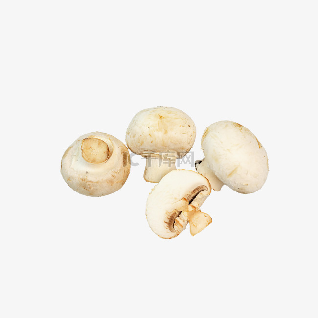 口蘑菌菇