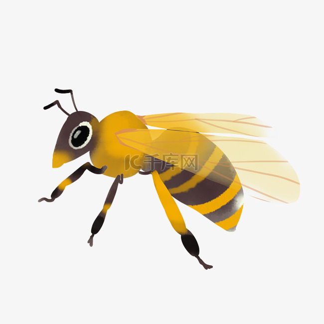 采蜜蜜蜂