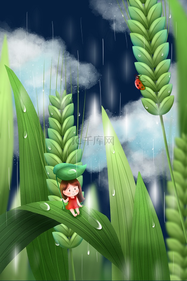 小满麦穗多雨季节女孩挡雨