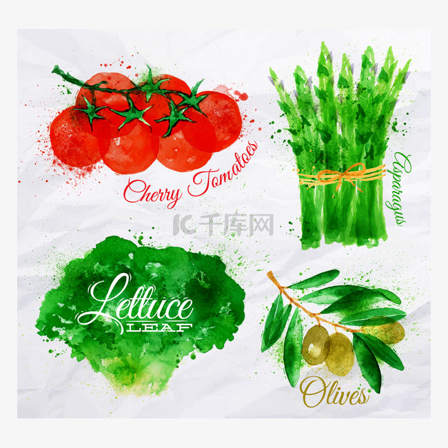 蔬菜水彩生菜、 樱桃西红柿、 