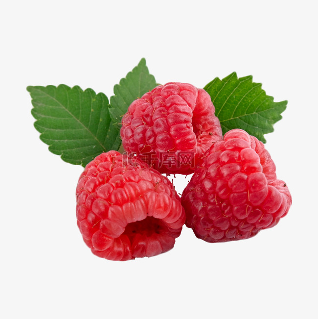 树莓饮食维生素完整