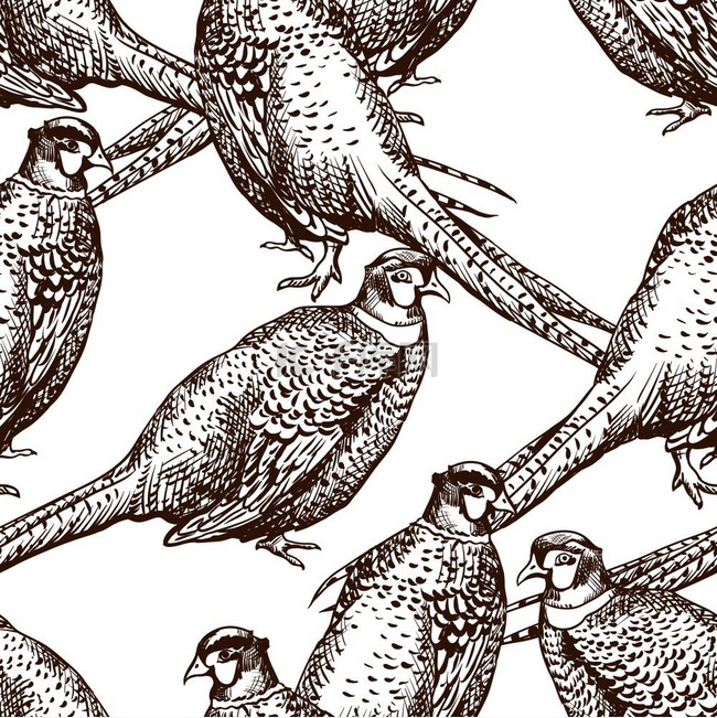 无缝图案搭配山鸡图案带有鸟类的