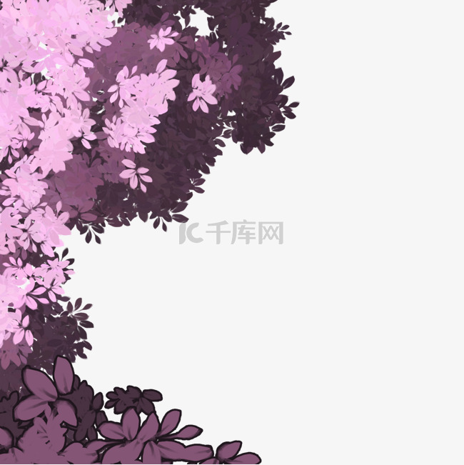 紫色植物树叶