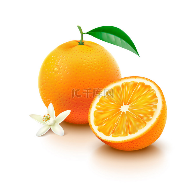 这一半与花白色背景上的橙色水果
