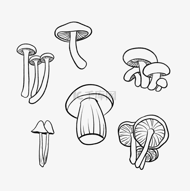 黑白线描蔬菜蘑菇