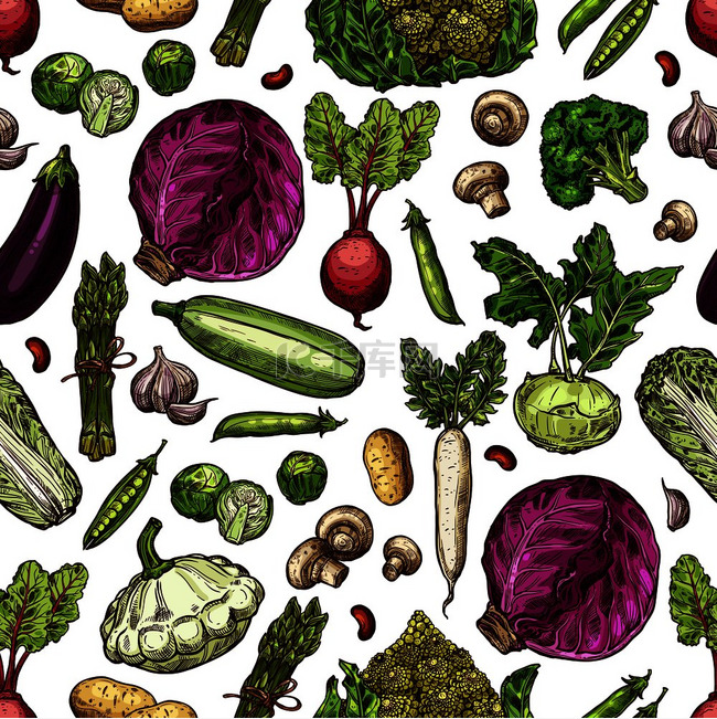 蔬菜素描图案背景南瓜鳄梨和胡椒