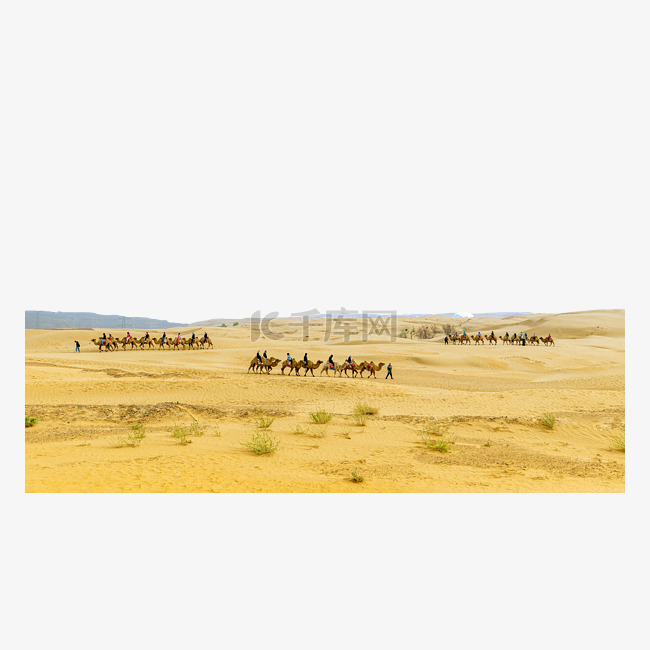 沙漠景观驼队