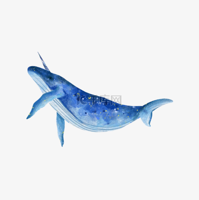 独角鲸深海鱼水彩