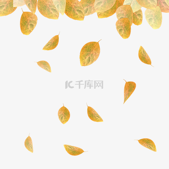 秋天树叶落叶