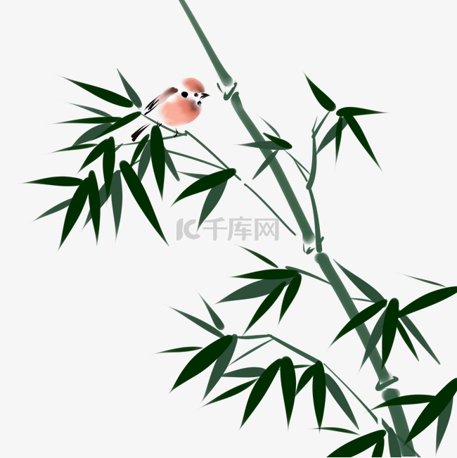 绿竹竹叶小鸟
