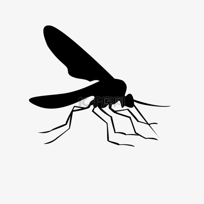 蚊虫