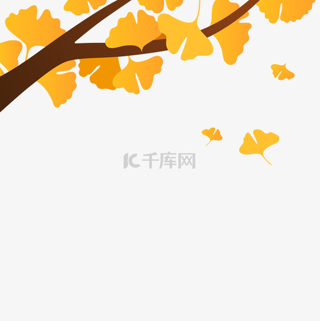 黄色秋季银杏树叶