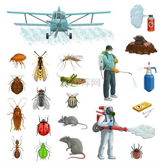 害虫控制卡通矢量集害虫、虫子和