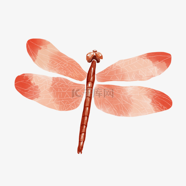 蜻蜓红色渐变水彩画