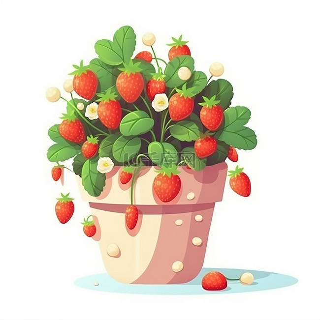 一颗茂盛草莓盆栽