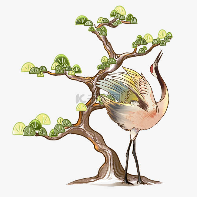 仙鹤松树动物鸟类水彩
