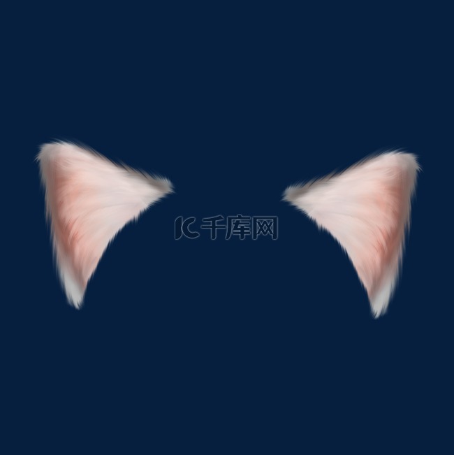 猫猫耳朵装饰