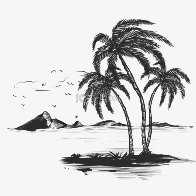 素描线条海岛岸边棕桐树