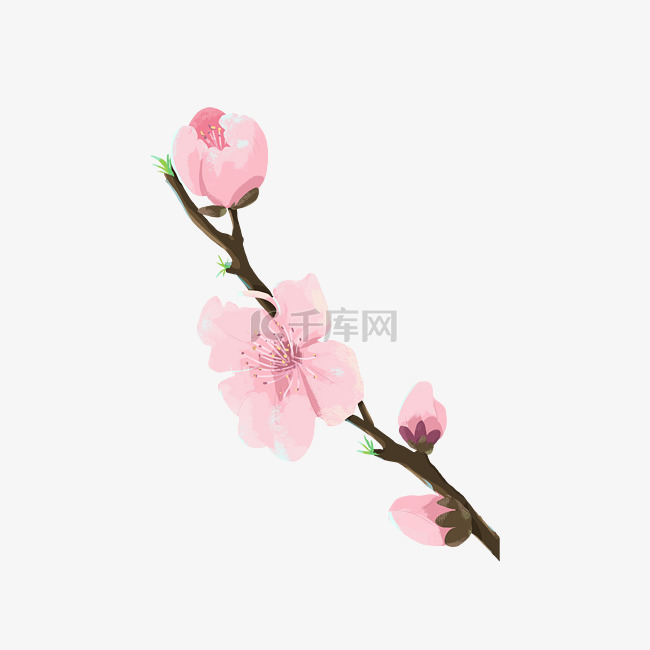 桃花春天手绘插画元素梦幻粉色花