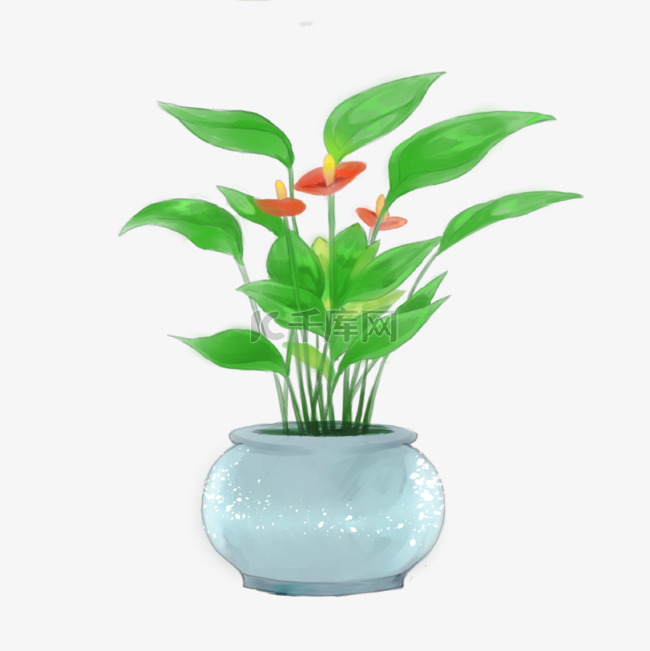 白瓷花盆可爱绿色室内植物盆栽