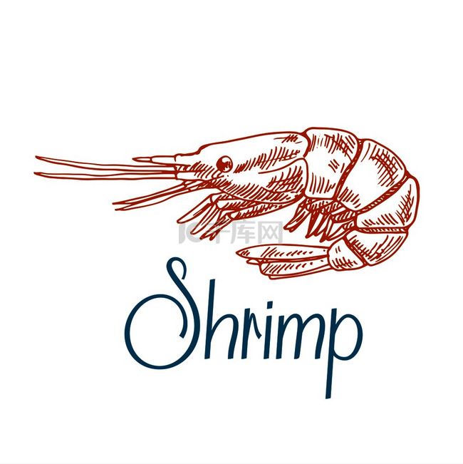 海岩虾或短触角虾的复古雕刻素描