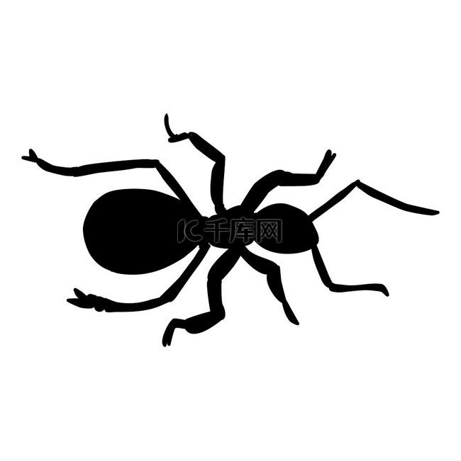 黑蚂蚁靠近西尔霍特矢量