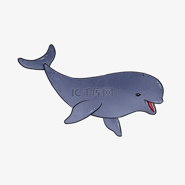 江豚珍稀动物保护动物