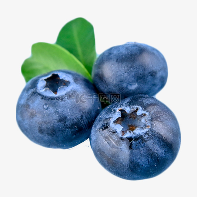 食品莓果维生素蓝莓