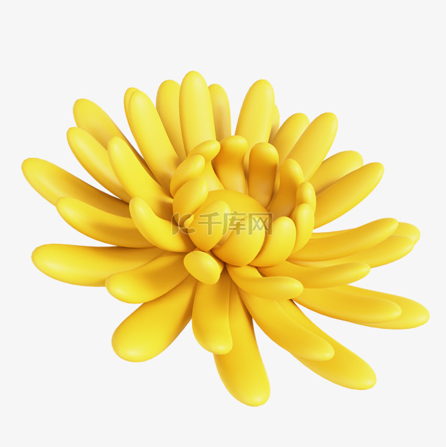 3D菊花黄花立体C4D秋天秋季