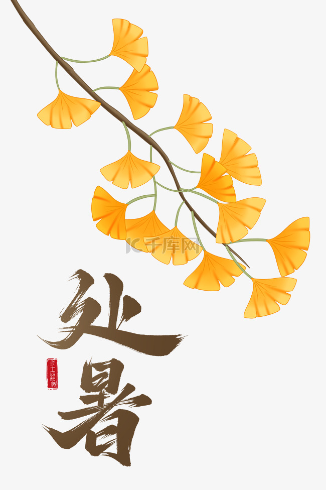 中国传统二十四节气银杏处暑树叶