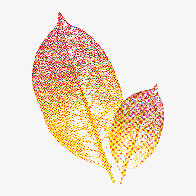 秋季树叶脉络装饰彩色半调秋天叶