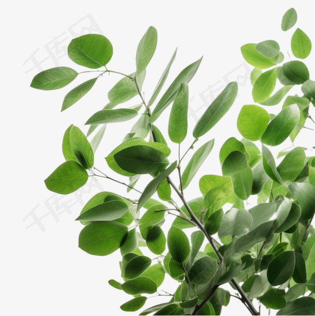 绿色小清新平面植物1