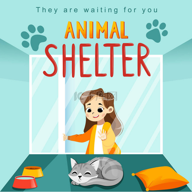 Animal Shelter 