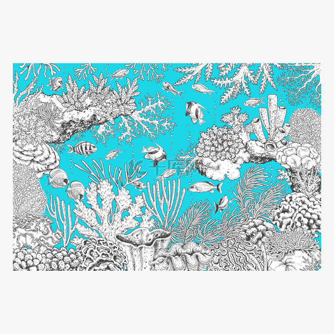 水下景观单色珊瑚和鱼类
