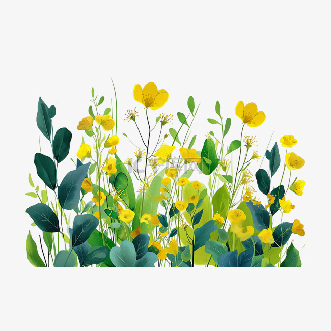 春天黄色油菜花免抠元素手绘