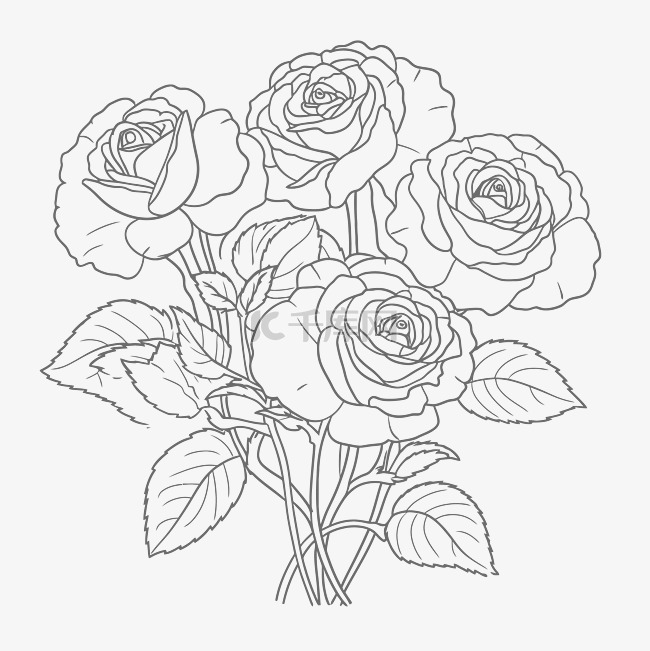 玫瑰图片着色页轮廓素描 向量