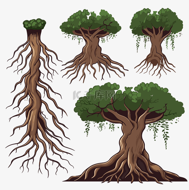 树根剪贴画各种树根矢量图像插画